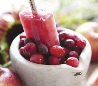 Cranberry and Apple Popsicle Recipe